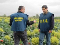 Inquinamento: sequestrati terreni agricoli irrigati con acqua contaminata nel napoletano