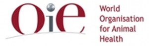 OIE+Logo