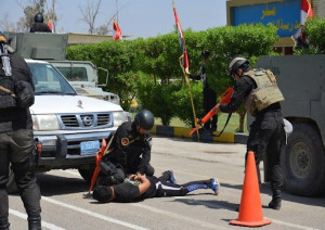 Iraq: la Task Force Carabinieri ha addestrato oltre 800 poliziotti