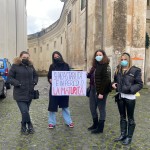 La protesta degli studenti dei Castelli Romani - Alcune foto e video