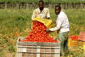 Senofobia e razzismo: mali del nostro tempo